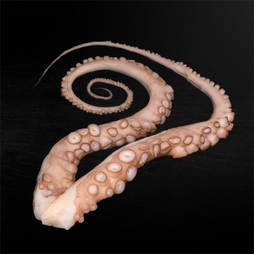 Oktopus Arme ohne Kopf, 2 Stück roh